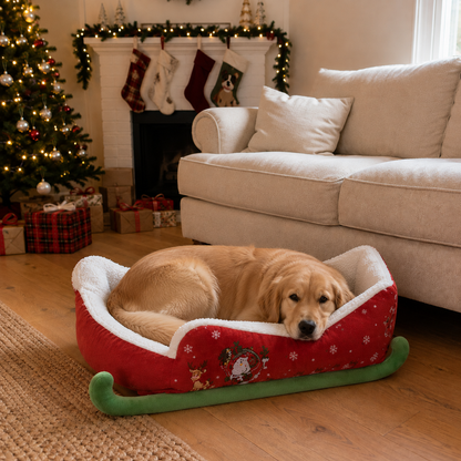 NorthPaw Sleigh